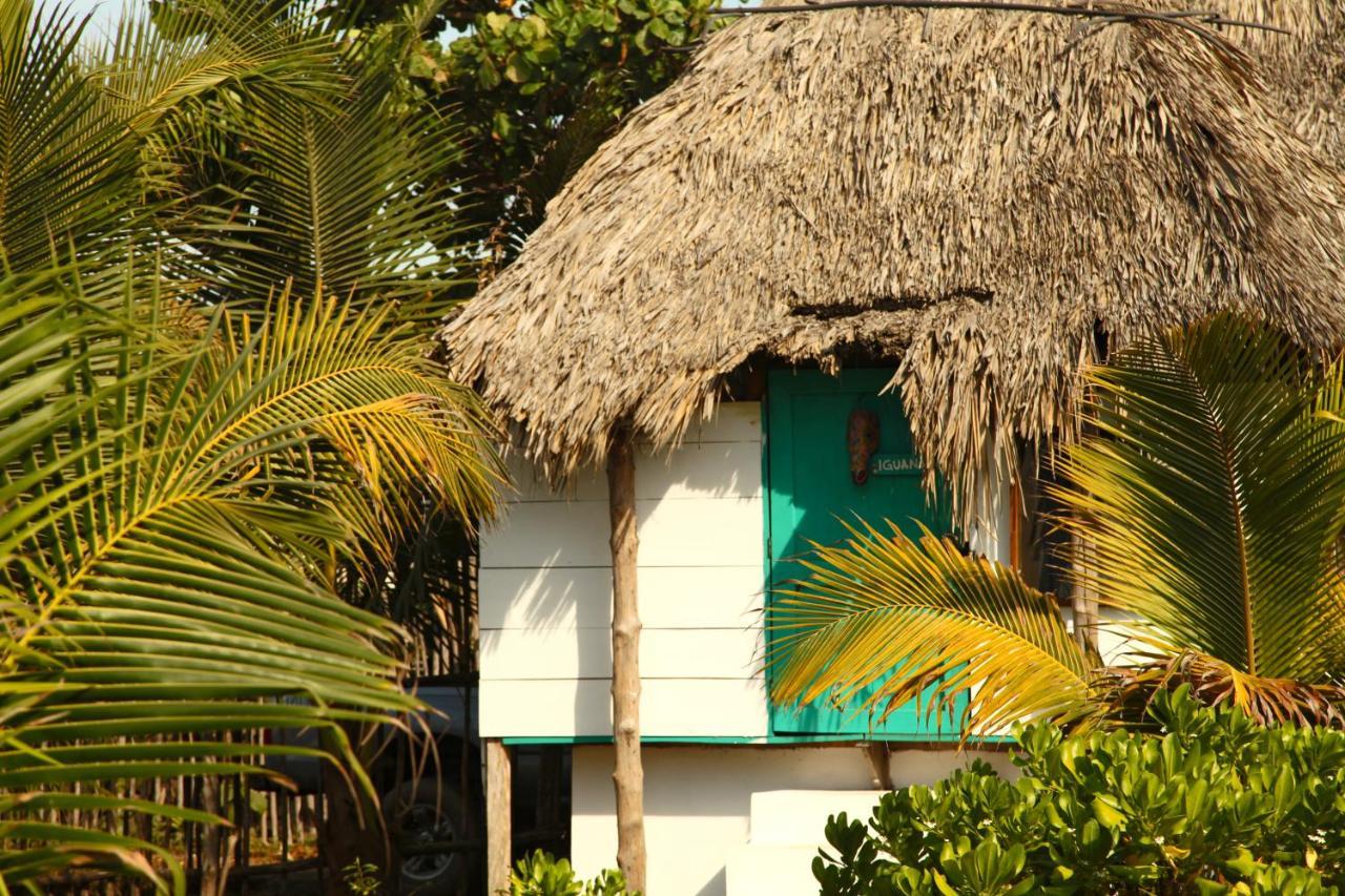 Cocori Lodge Paredon El Paredón Buena Vista 外观 照片