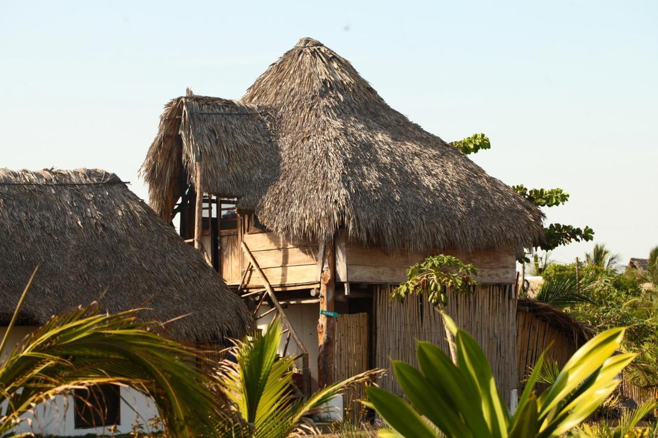 Cocori Lodge Paredon El Paredón Buena Vista 外观 照片