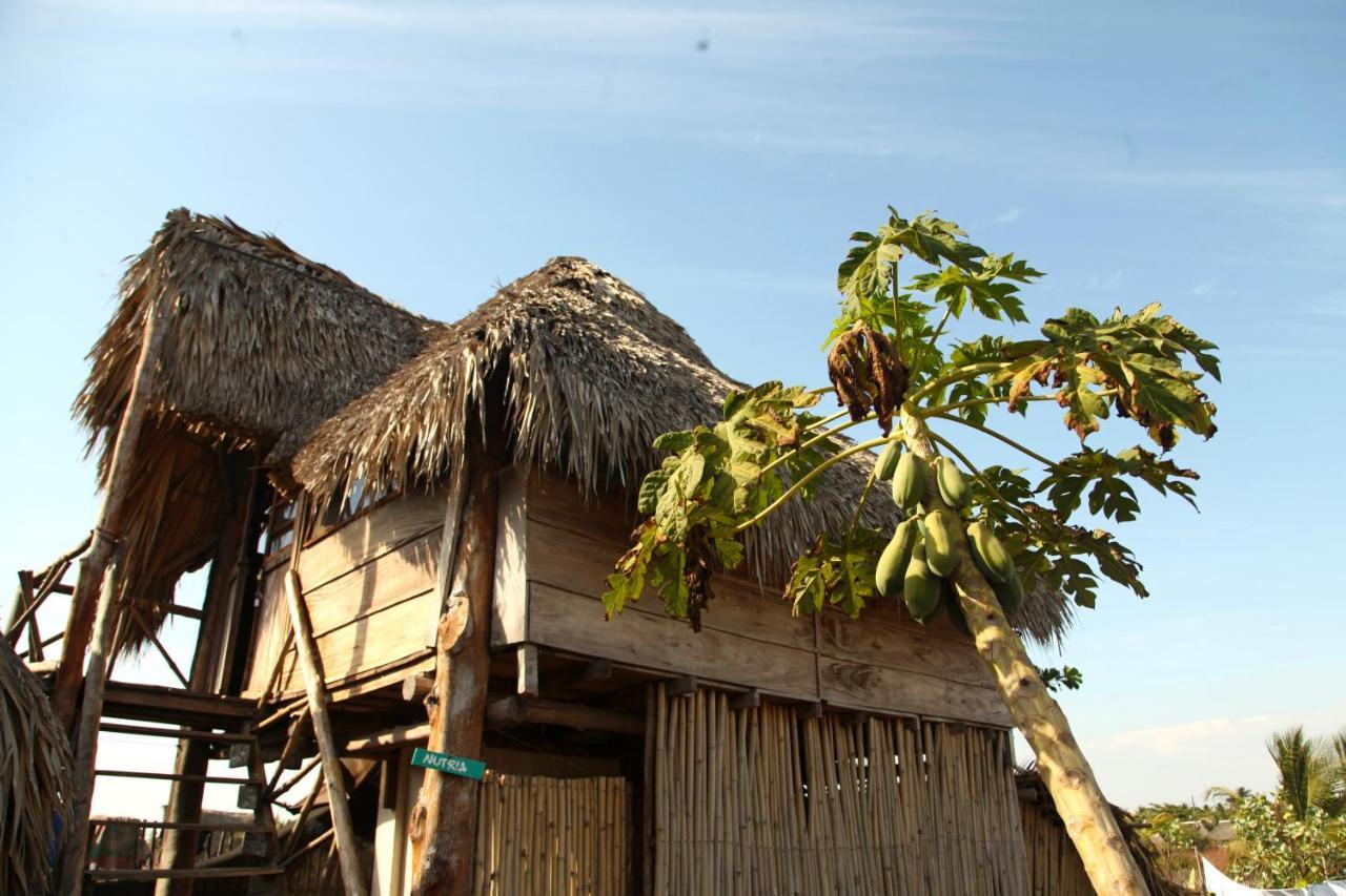 Cocori Lodge Paredon El Paredón Buena Vista 外观 照片