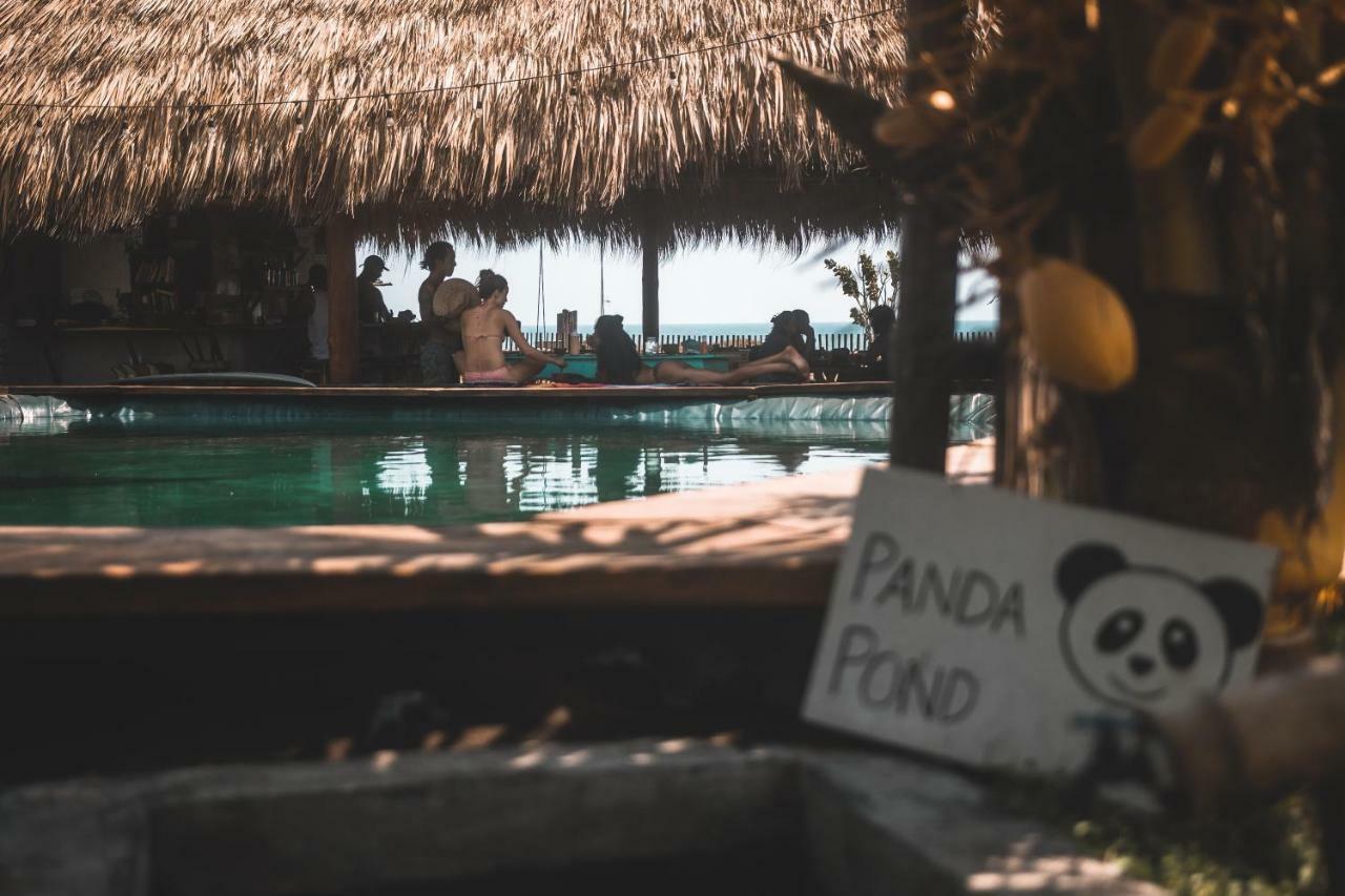 Cocori Lodge Paredon El Paredón Buena Vista 外观 照片